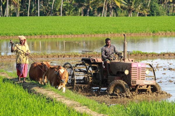 SmartFarm Analytics